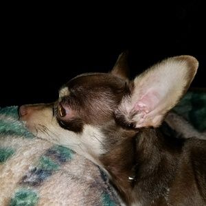 Meet your Posher, Don a